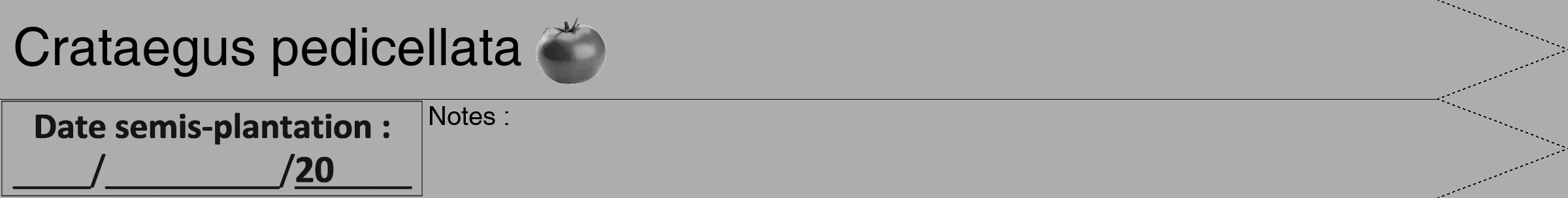 Étiquette de : Crataegus pedicellata - format b - style noire22simplehel avec comestibilité simplifiée
