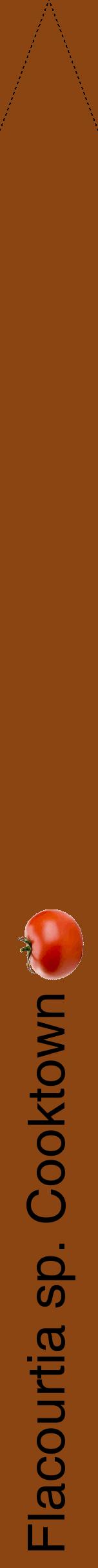 Étiquette de : Flacourtia sp. Cooktown - format b - style noire30hel avec comestibilité simplifiée