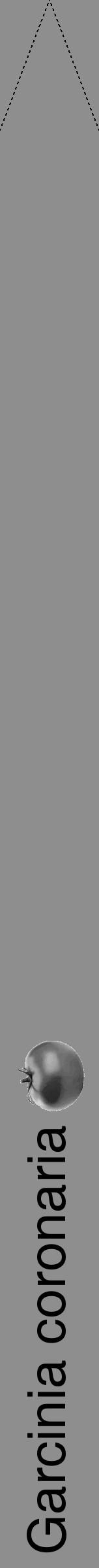 Étiquette de : Garcinia coronaria - format b - style noire25hel avec comestibilité simplifiée - position verticale