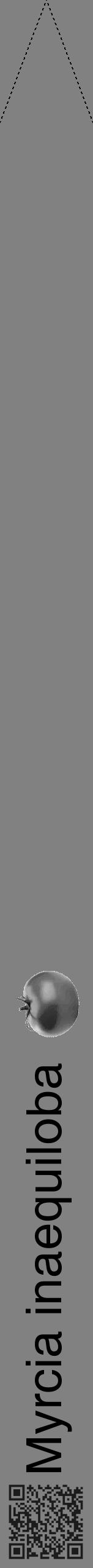 Étiquette de : Myrcia inaequiloba - format b - style noire50hel avec qrcode et comestibilité simplifiée - position verticale