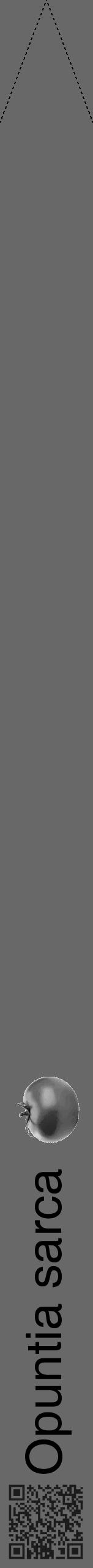 Étiquette de : Opuntia sarca - format b - style noire6hel avec qrcode et comestibilité simplifiée - position verticale
