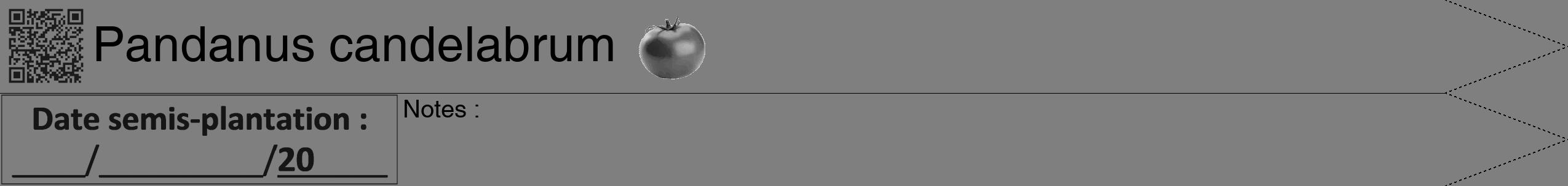 Étiquette de : Pandanus candelabrum - format b - style noire57simplehel avec qrcode et comestibilité simplifiée