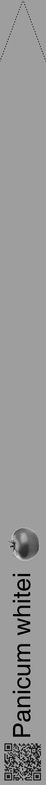 Étiquette de : Panicum whitei - format b - style noire42hel avec qrcode et comestibilité simplifiée - position verticale