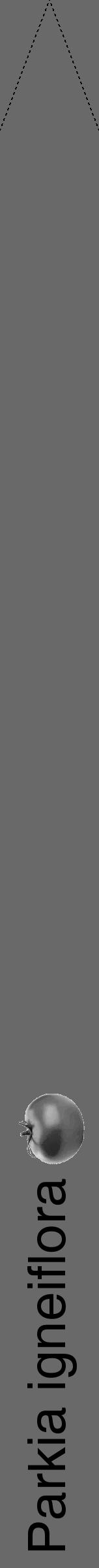 Étiquette de : Parkia igneiflora - format b - style noire11hel avec comestibilité simplifiée - position verticale