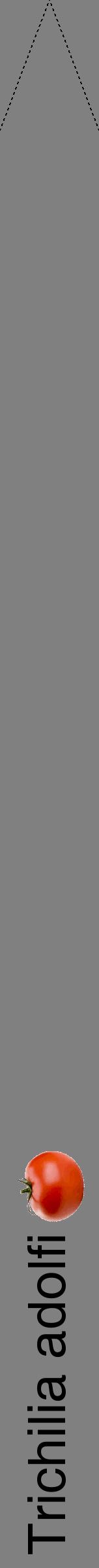 Étiquette de : Trichilia adolfi - format b - style noire57hel avec comestibilité simplifiée