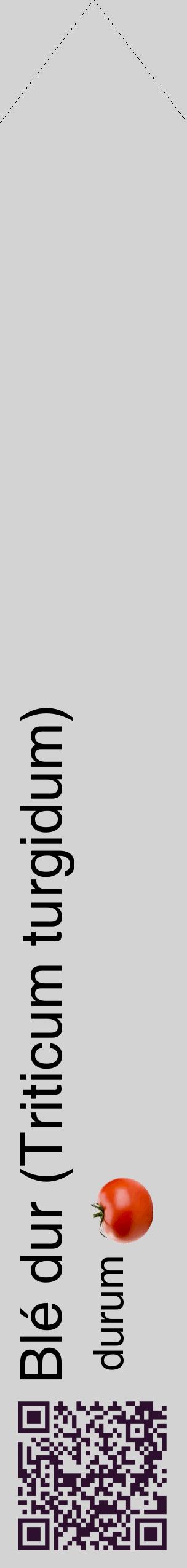 Étiquette de : Triticum turgidum durum - format c - style noire56_simplehel avec qrcode et comestibilité simplifiée