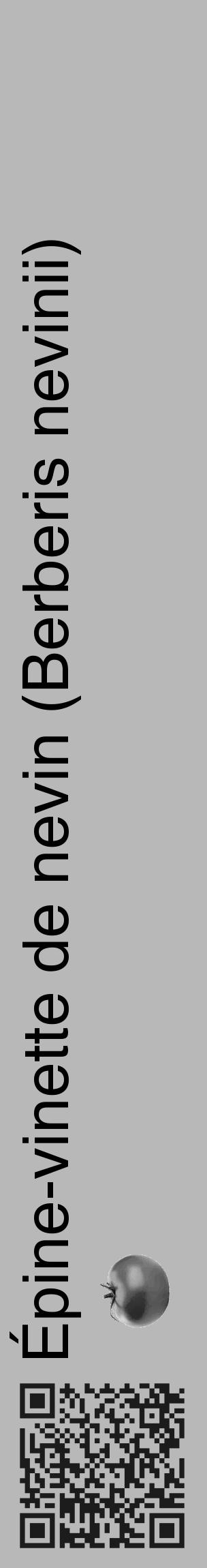 Étiquette de : Berberis nevinii - format c - style noire39_basique_basiquehel avec qrcode et comestibilité simplifiée - position verticale