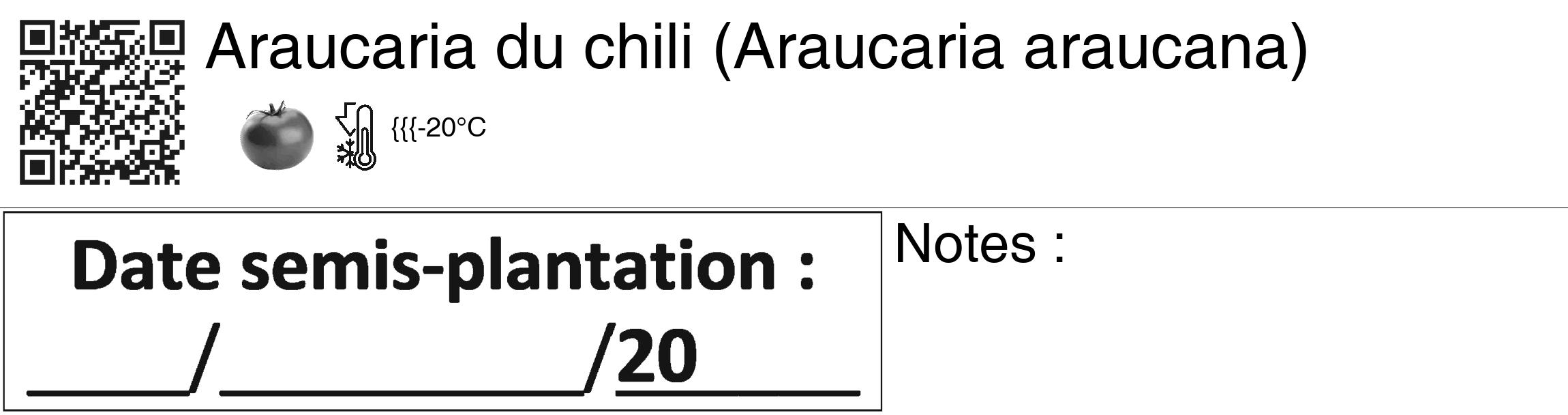 Étiquette de : Araucaria araucana - format c - style noire60_basiquegrrvhel avec qrcode et comestibilité simplifiée