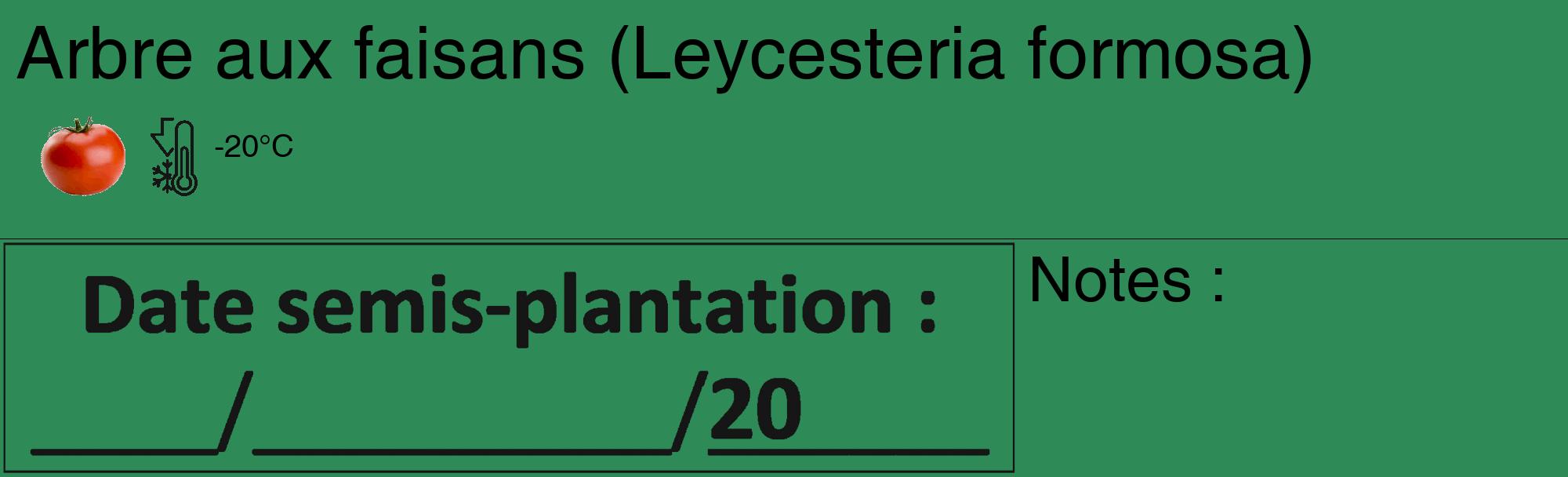 Étiquette de : Leycesteria formosa - format c - style noire11_basique_basiquehel avec comestibilité simplifiée