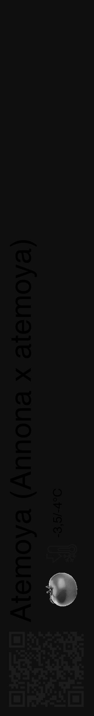 Étiquette de : Annona x atemoya - format c - style noire7_basique_basiquehel avec qrcode et comestibilité simplifiée - position verticale