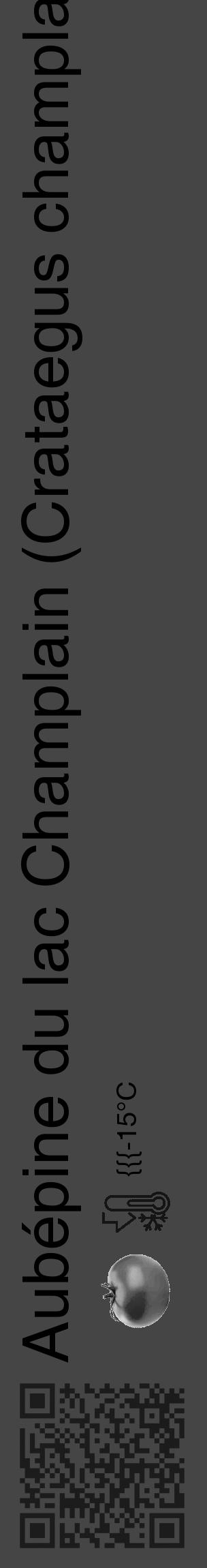 Étiquette de : Crataegus champlainensis - format c - style noire58_basique_basiquehel avec qrcode et comestibilité simplifiée - position verticale
