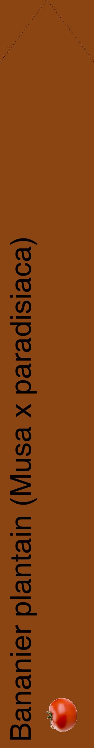 Étiquette de : Musa x paradisiaca - format c - style noire30_simplehel avec comestibilité simplifiée