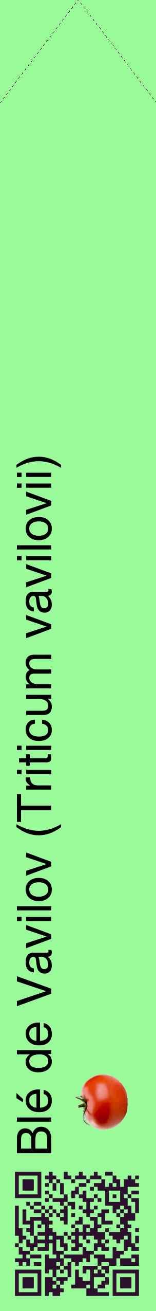 Étiquette de : Triticum vavilovii - format c - style noire14_simplehel avec qrcode et comestibilité simplifiée