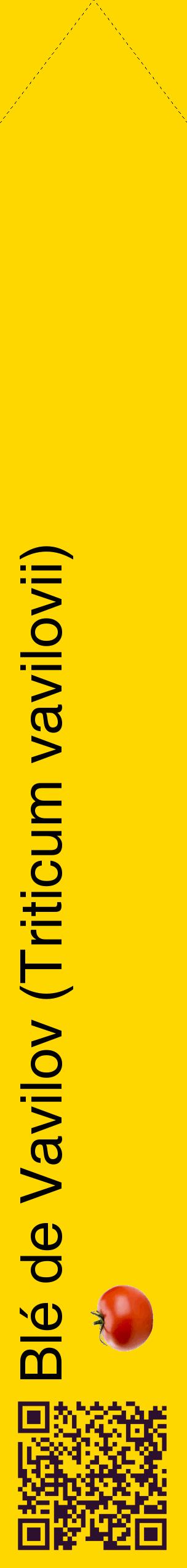 Étiquette de : Triticum vavilovii - format c - style noire21_simplehel avec qrcode et comestibilité simplifiée