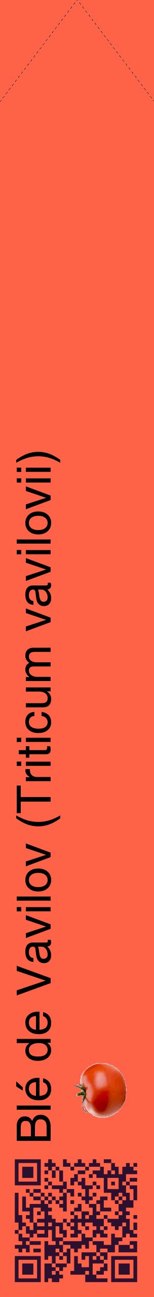 Étiquette de : Triticum vavilovii - format c - style noire25_simplehel avec qrcode et comestibilité simplifiée