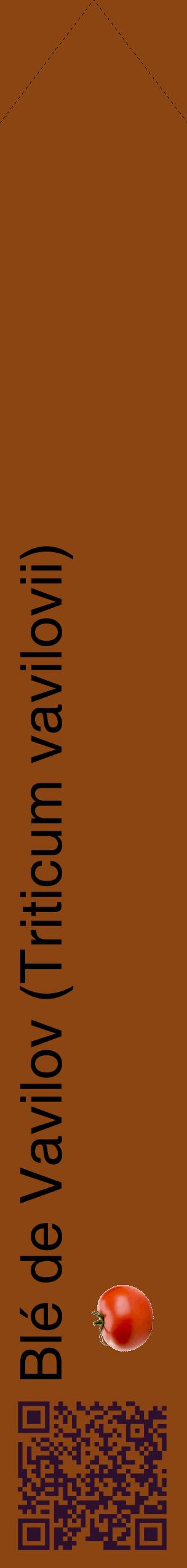 Étiquette de : Triticum vavilovii - format c - style noire30_simplehel avec qrcode et comestibilité simplifiée