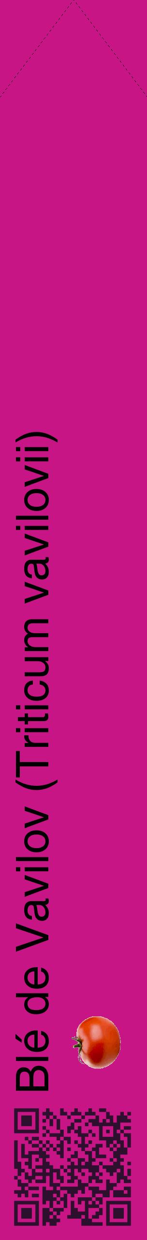 Étiquette de : Triticum vavilovii - format c - style noire45_simplehel avec qrcode et comestibilité simplifiée