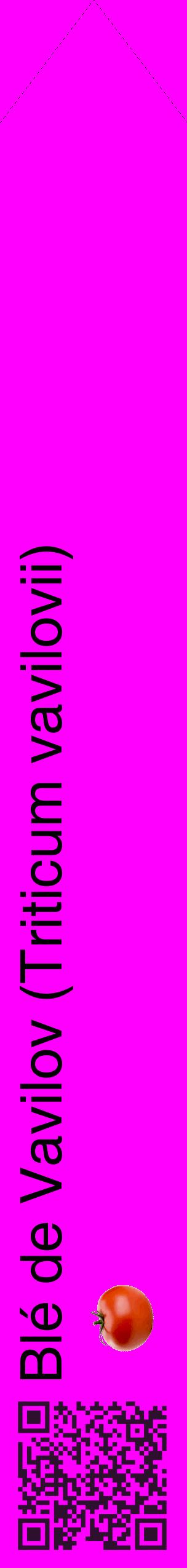 Étiquette de : Triticum vavilovii - format c - style noire51_simplehel avec qrcode et comestibilité simplifiée