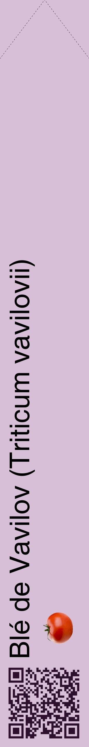 Étiquette de : Triticum vavilovii - format c - style noire54_simplehel avec qrcode et comestibilité simplifiée