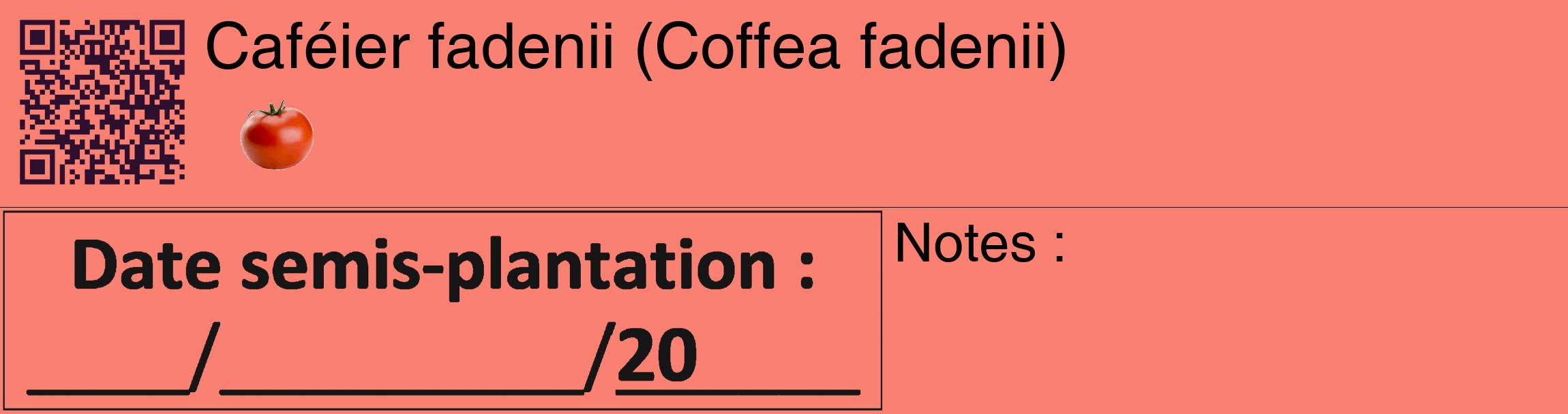 Étiquette de : Coffea fadenii - format c - style noire38_basique_basiquehel avec qrcode et comestibilité simplifiée
