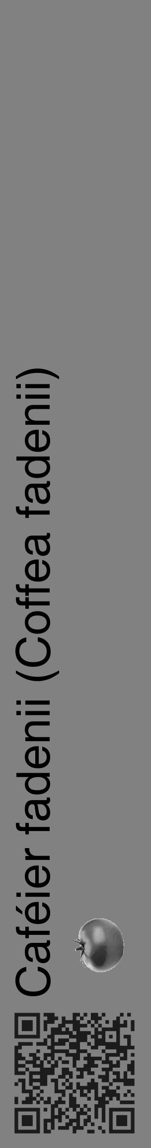 Étiquette de : Coffea fadenii - format c - style noire50_basique_basiquehel avec qrcode et comestibilité simplifiée - position verticale