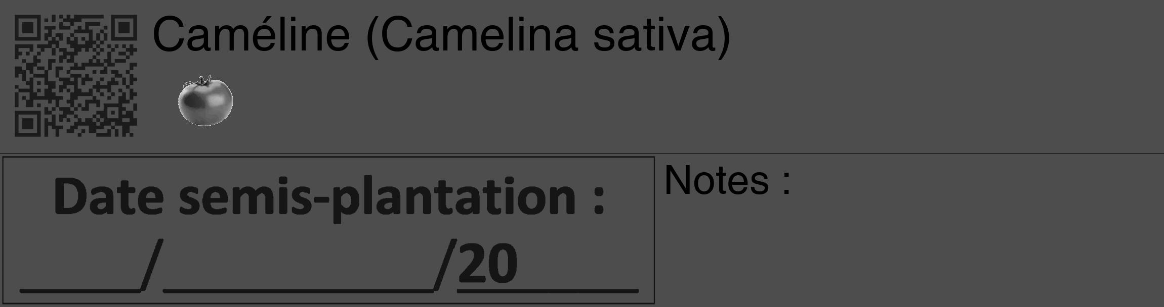 Étiquette de : Camelina sativa - format c - style noire28_basique_basiquehel avec qrcode et comestibilité simplifiée