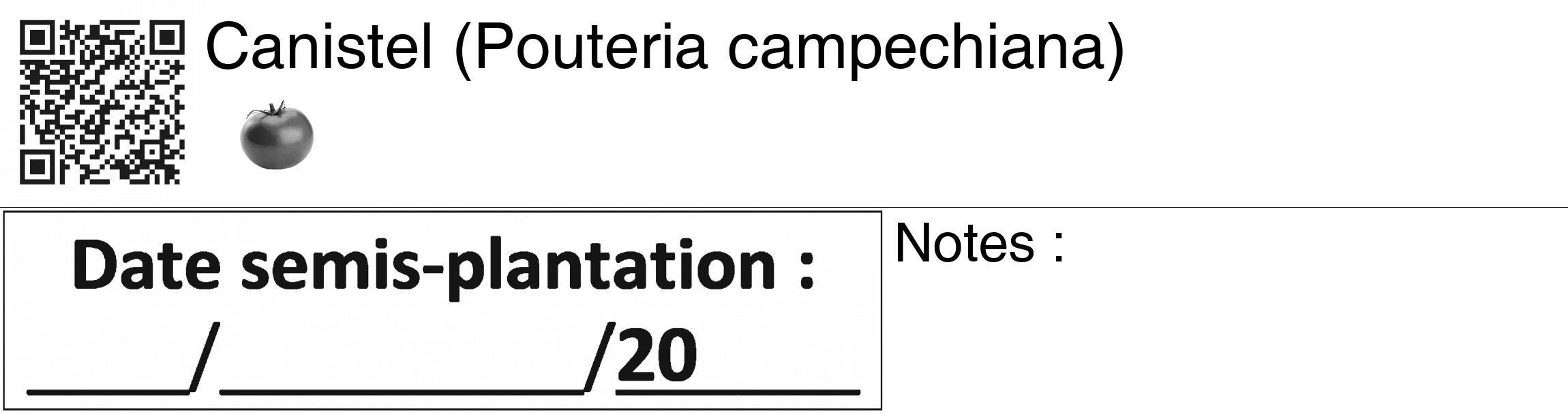 Étiquette de : Pouteria campechiana - format c - style noire60_basiquegrrvhel avec qrcode et comestibilité simplifiée