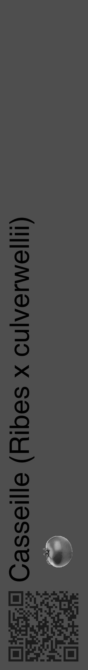 Étiquette de : Ribes x culverwellii - format c - style noire33_basique_basiquehel avec qrcode et comestibilité simplifiée - position verticale