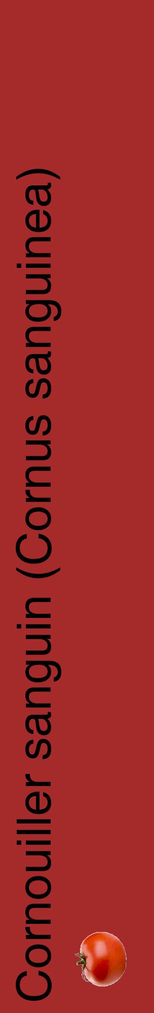 Étiquette de : Cornus sanguinea - format c - style noire33_basiquehel avec comestibilité simplifiée