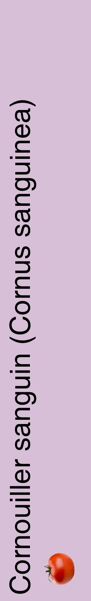 Étiquette de : Cornus sanguinea - format c - style noire54_basiquehel avec comestibilité simplifiée