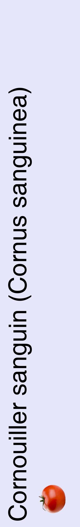 Étiquette de : Cornus sanguinea - format c - style noire55_basiquehel avec comestibilité simplifiée