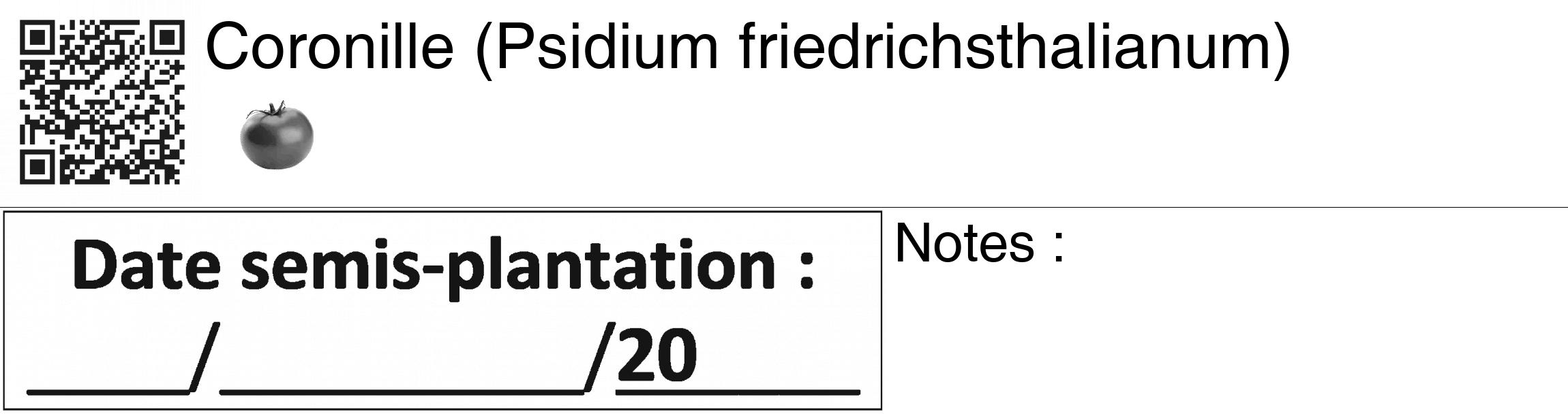 Étiquette de : Psidium friedrichsthalianum - format c - style noire60_basiquegrrvhel avec qrcode et comestibilité simplifiée