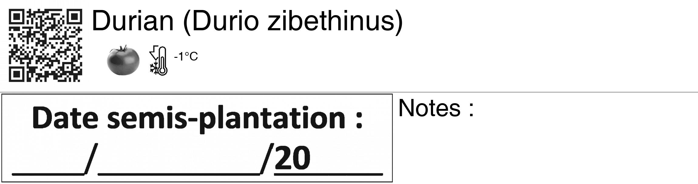 Étiquette de : Durio zibethinus - format c - style noire60_basiquegrrvhel avec qrcode et comestibilité simplifiée