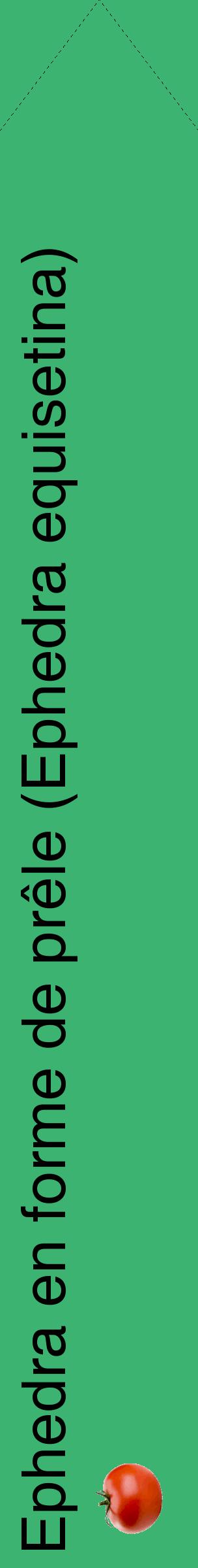 Étiquette de : Ephedra equisetina - format c - style noire12_simplehel avec comestibilité simplifiée