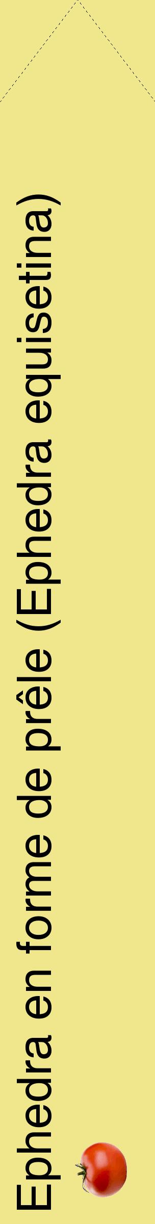 Étiquette de : Ephedra equisetina - format c - style noire20_simplehel avec comestibilité simplifiée
