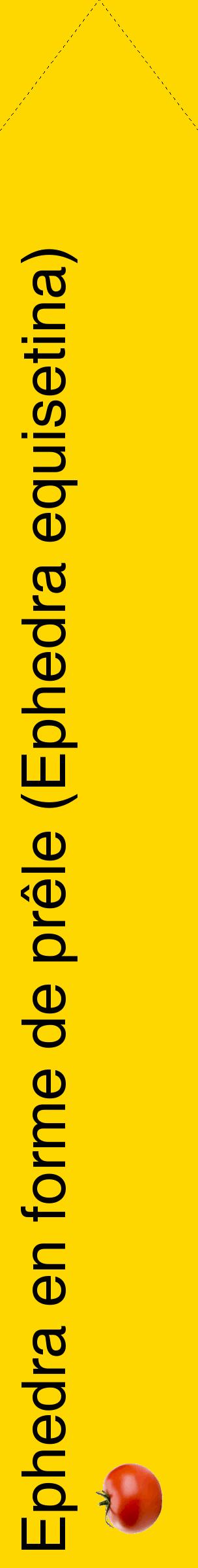 Étiquette de : Ephedra equisetina - format c - style noire21_simplehel avec comestibilité simplifiée