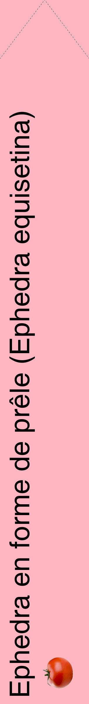 Étiquette de : Ephedra equisetina - format c - style noire41_simplehel avec comestibilité simplifiée