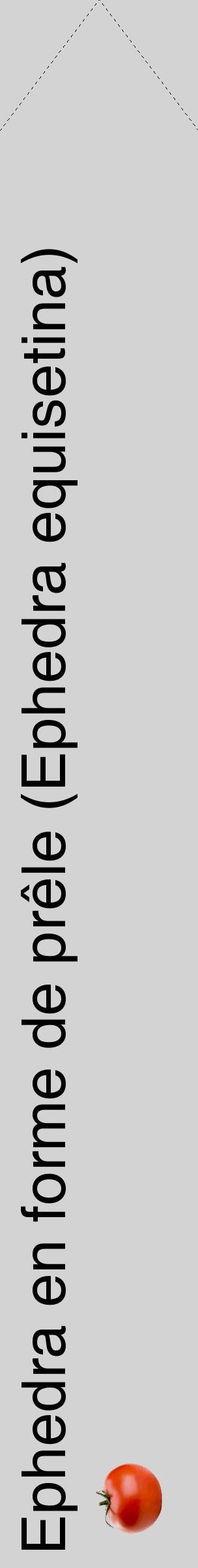 Étiquette de : Ephedra equisetina - format c - style noire56_simplehel avec comestibilité simplifiée