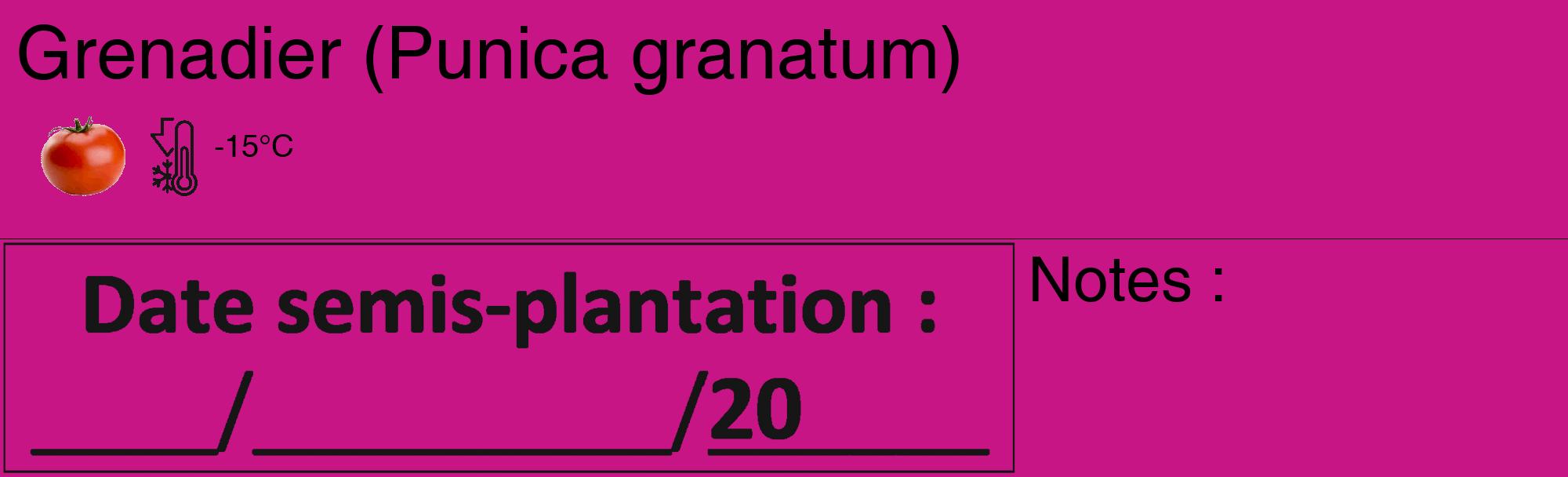 Étiquette de : Punica granatum - format c - style noire45_basique_basiquehel avec comestibilité simplifiée