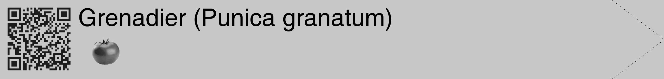 Étiquette de : Punica granatum - format c - style noire15_simple_simplehel avec qrcode et comestibilité simplifiée