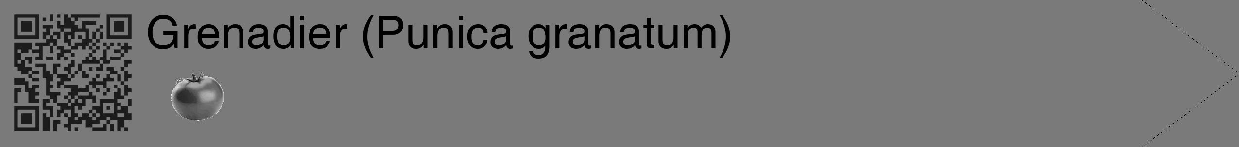 Étiquette de : Punica granatum - format c - style noire3_simple_simplehel avec qrcode et comestibilité simplifiée