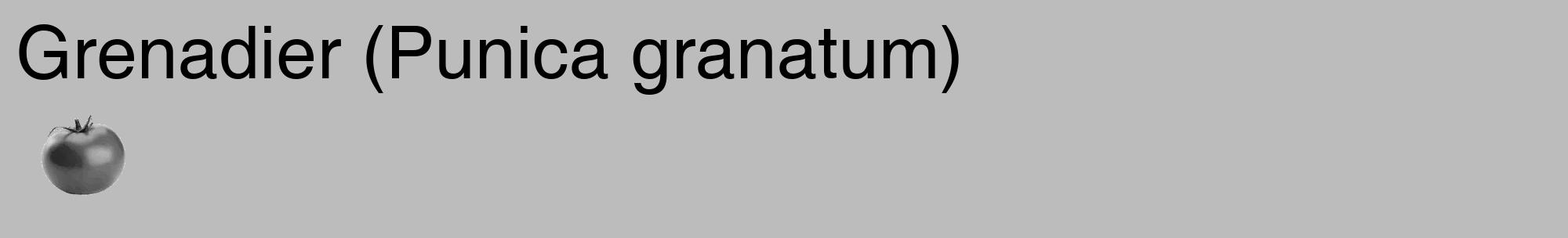 Étiquette de : Punica granatum - format c - style noire1_basique_basiquehel avec comestibilité simplifiée