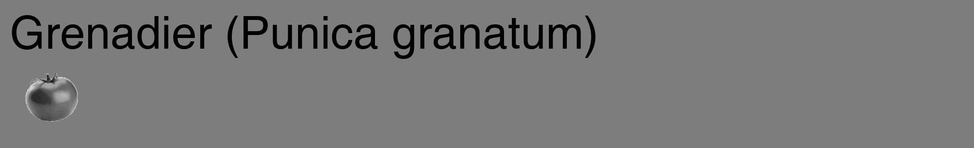 Étiquette de : Punica granatum - format c - style noire35_basique_basiquehel avec comestibilité simplifiée