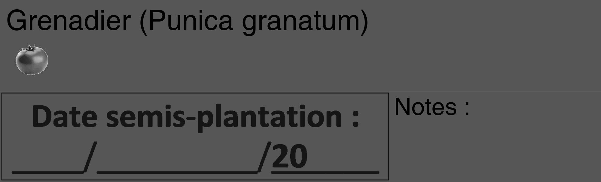 Étiquette de : Punica granatum - format c - style noire45_basique_basiquehel avec comestibilité simplifiée