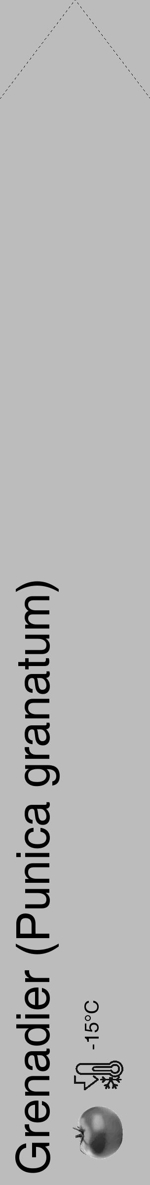 Étiquette de : Punica granatum - format c - style noire1_simple_simplehel avec comestibilité simplifiée - position verticale