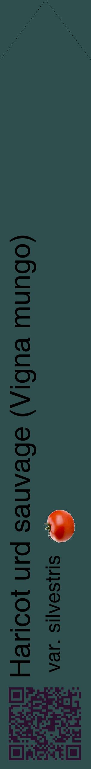 Étiquette de : Vigna mungo var. silvestris - format c - style noire58_simplehel avec qrcode et comestibilité simplifiée