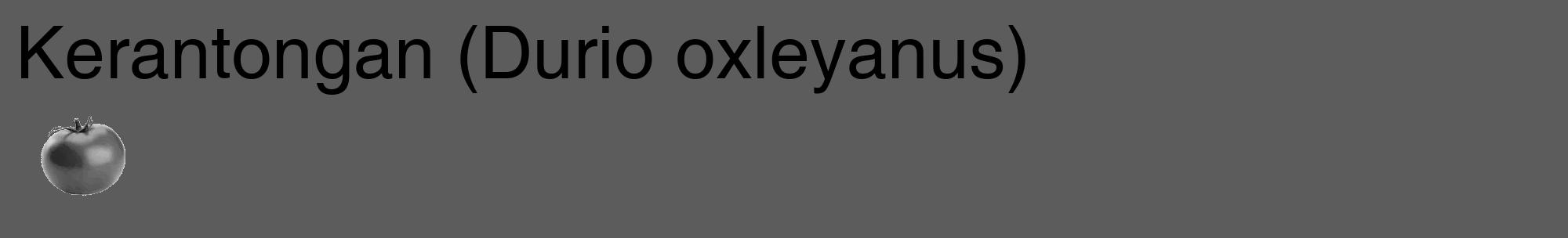 Étiquette de : Durio oxleyanus - format c - style noire49_basique_basiquehel avec comestibilité simplifiée
