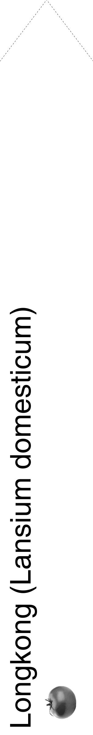 Étiquette de : Lansium domesticum - format c - style noire60_simple_simplehel avec comestibilité simplifiée - position verticale