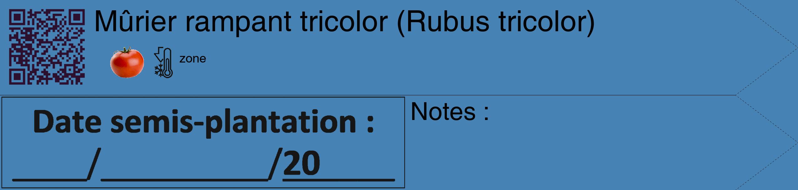 Étiquette de : Rubus tricolor - format c - style noire5_simple_simplehel avec qrcode et comestibilité simplifiée