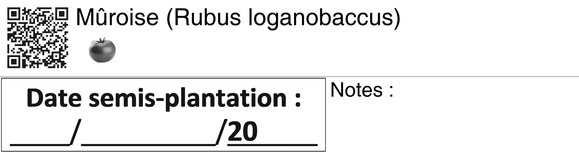 Étiquette de : Rubus loganobaccus - format c - style noire60_basiquegrrvhel avec qrcode et comestibilité simplifiée